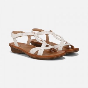 Naturalizer SOUL Solo Sandal for Women Beige / Snake AE29-5479I9