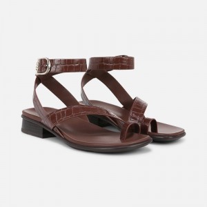 Naturalizer Birch Sandal for Women Brown DK28-0198Q4