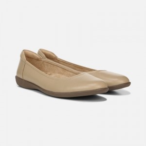 Naturalizer Flexy Flat for Women Brown BJ11-1801V5