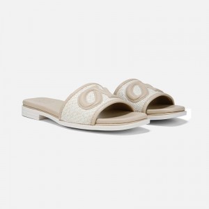 Naturalizer Genevieve Slide Sandal for Women Brown MY34-9774H5