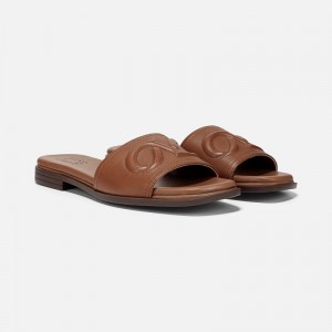 Naturalizer Genevieve Slide Sandal for Women Brown CL45-9415U7