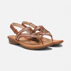Naturalizer SOUL Sunny Sandal for Women Brown HJ20-6850A9