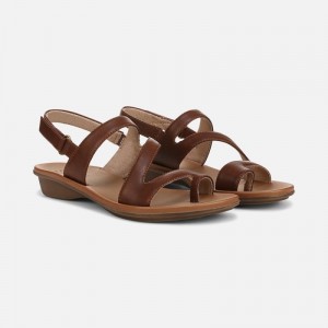 Naturalizer Soul Shakina Sandal for Women Brown LP19-2279P1