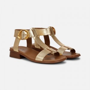 Naturalizer Brandy Sandal for Women Dark Gold DW03-8293A0