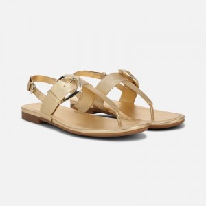 Naturalizer Taylor Sandal for Women Dark Gold MG95-4895Y1